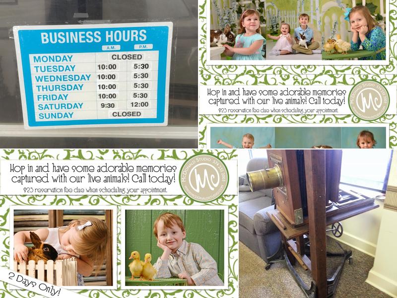 Mc Donald Studio Inc