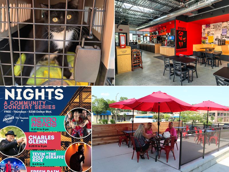 Steve’s Hot Dogs on Delmar