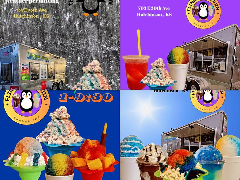 The Flingin Penguin Shaved Ice