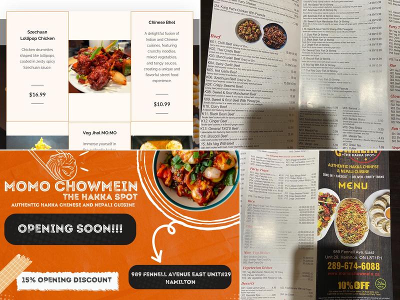Momo Chowmein - The Hakka Spot Menu