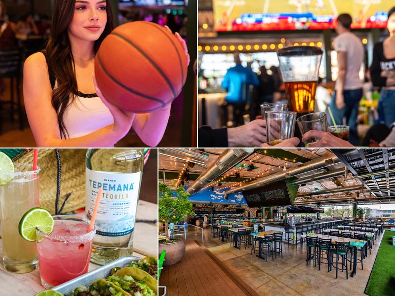 Backyard 1975 E Williams Field Rd, Gilbert