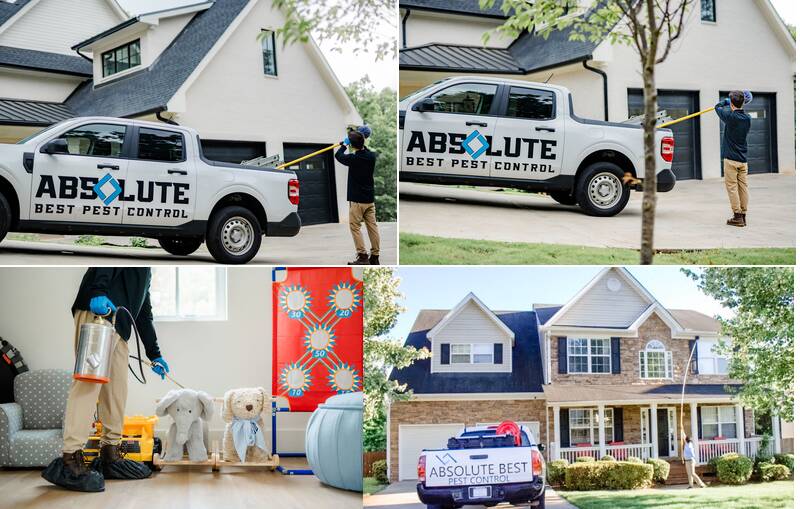 Absolute Best Pest Control