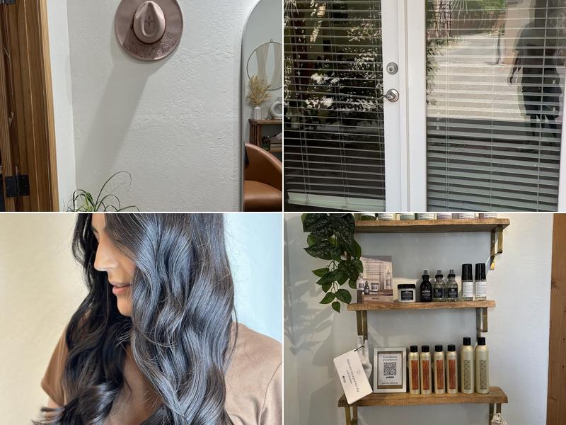 Wild moon collective