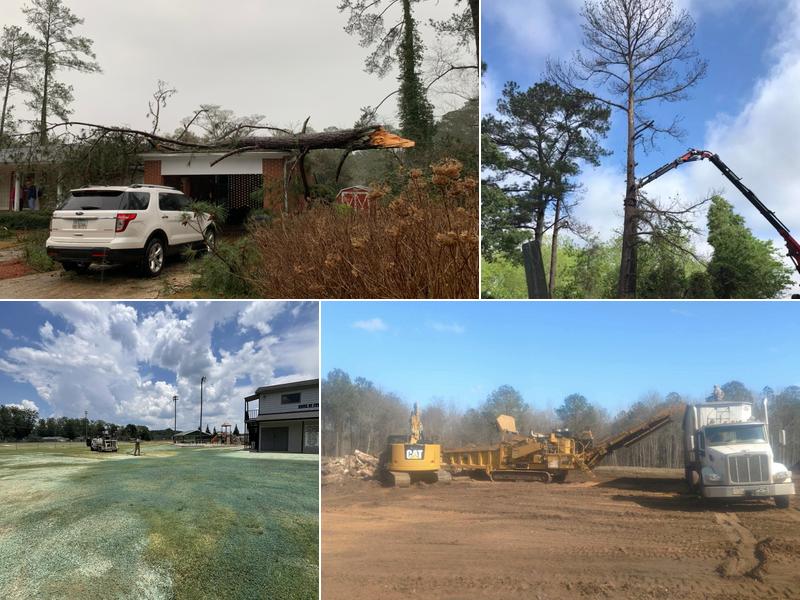 Harper's Tree and Stump Removal