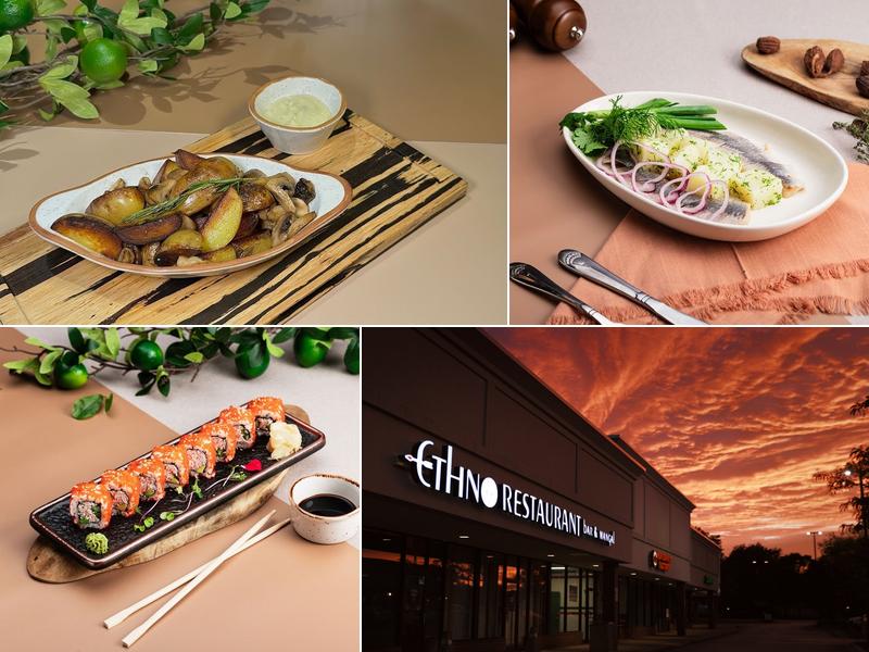 Ethno Restaurant 1061 E Lake Cook Rd, Wheeling