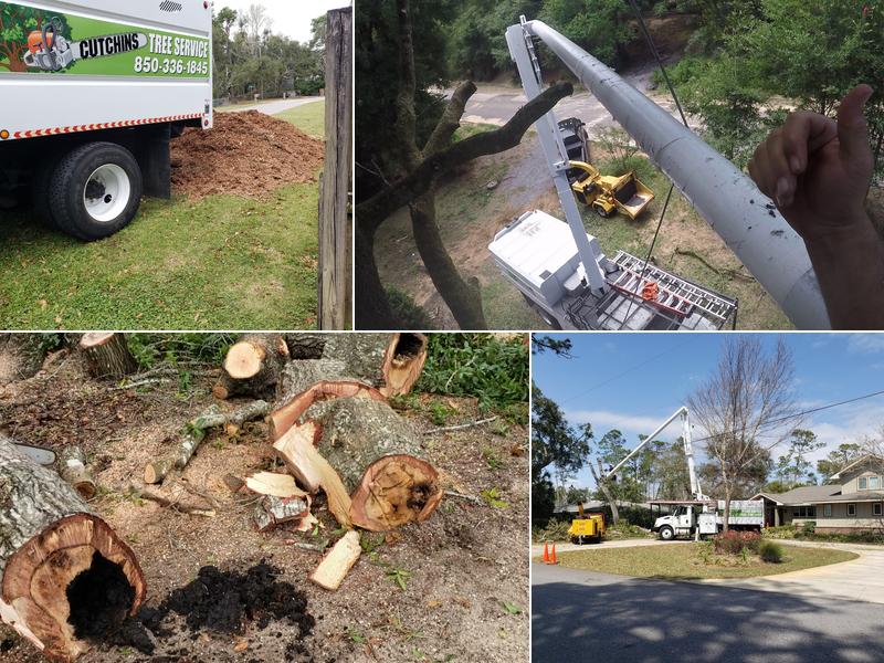 Cutchins Tree Service