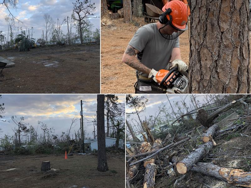 BTN Tree Service LLC