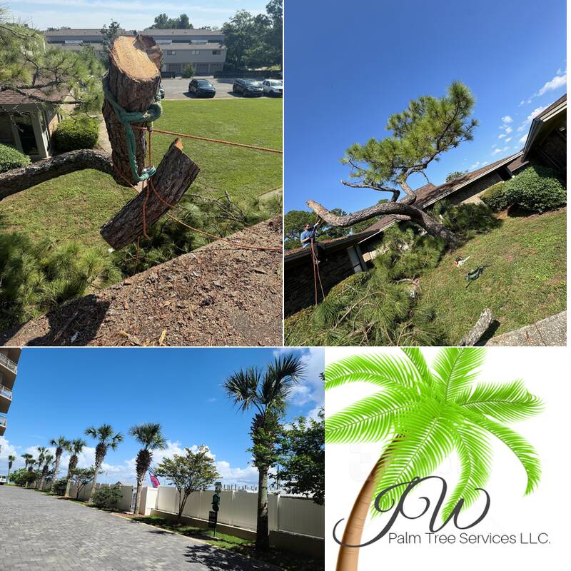 JW Palm Tree Services LLC