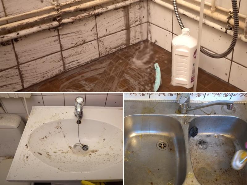 Certified Mold & Water Damage Restoration LLC