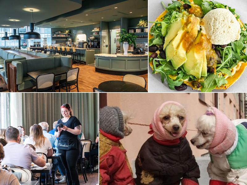 Cafe Patachou Nickel Plate