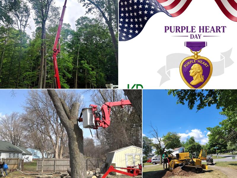 KD Tree Service Rochester NY