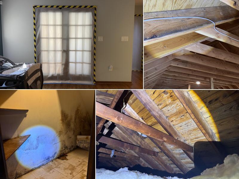 New Jersey Mold Specialist