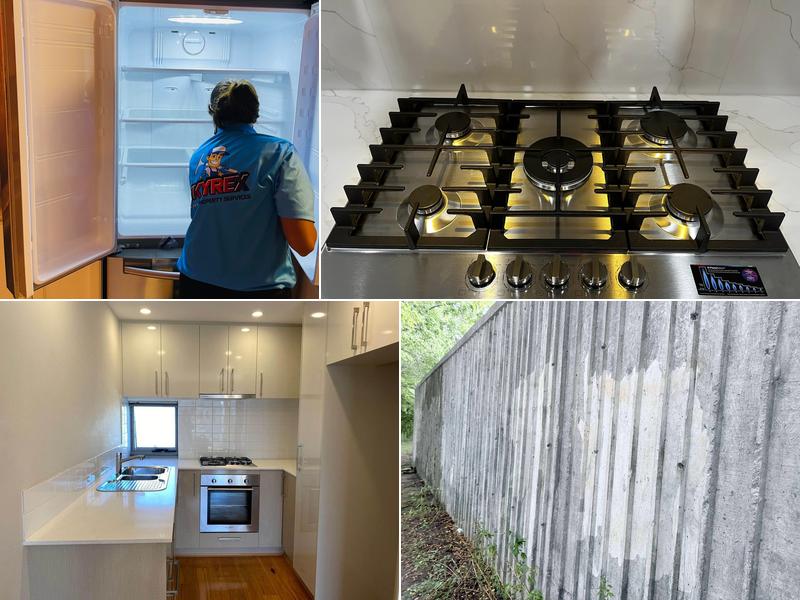 SKYREX Property Services