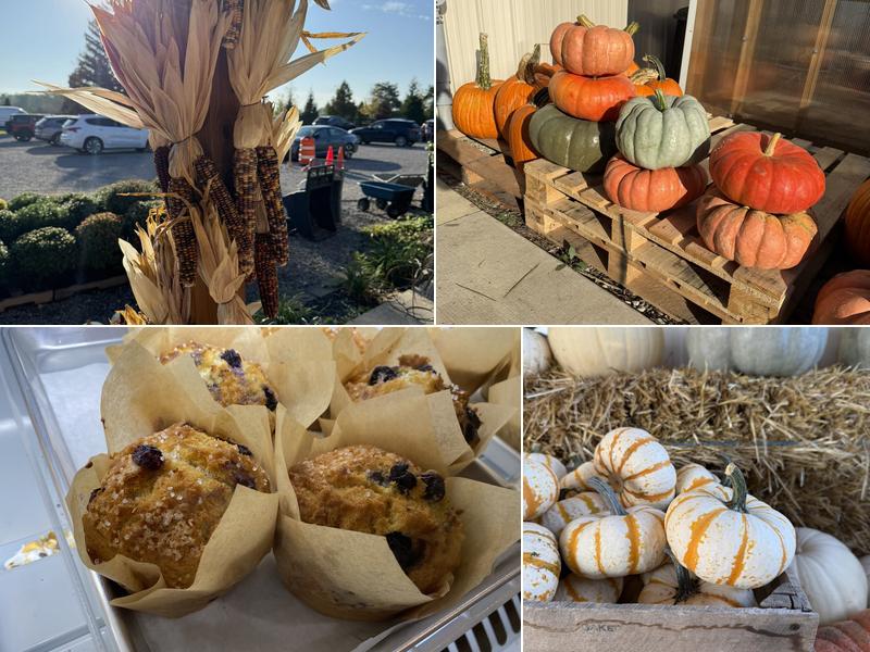 Jacquemin Farms Bakery & Cafe