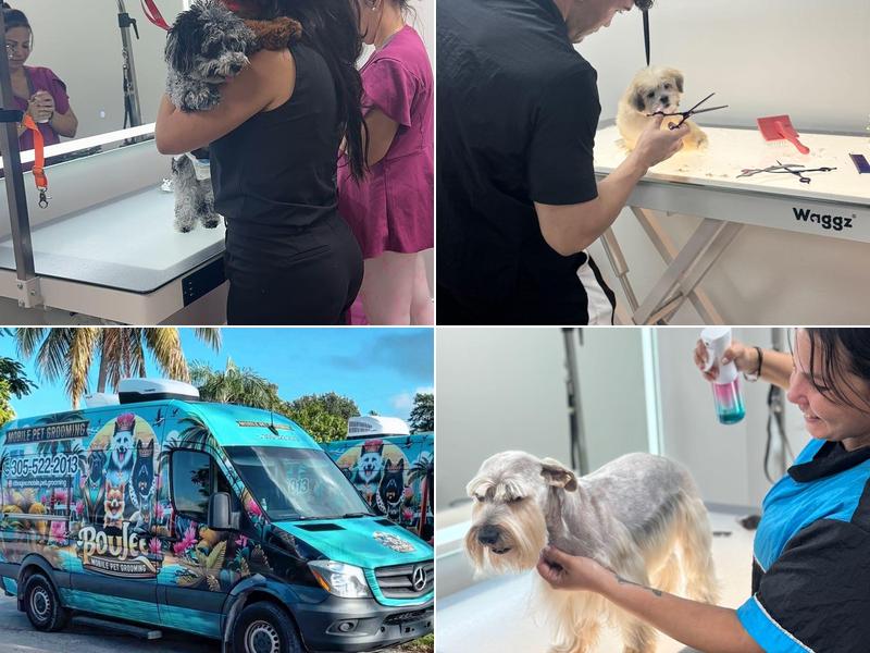 Boujee Mobile Pet Grooming