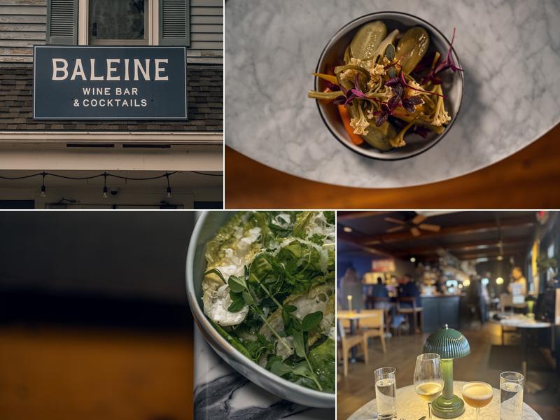 Baleine 776 Main St, Dennis