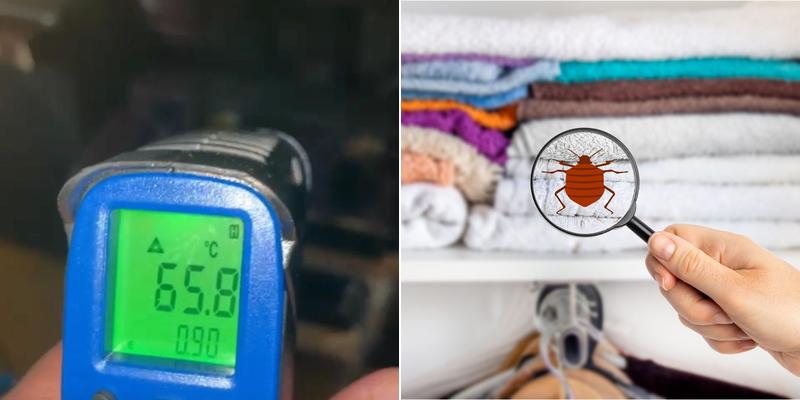 Heat Solution | Bed bug heat treatment