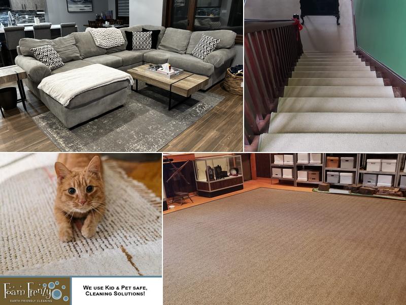 Foam Frenzy Carpet Cleaning & Upholstery Service