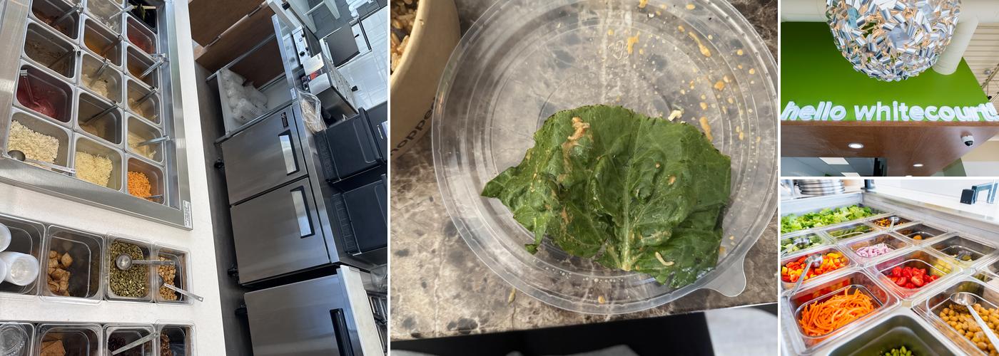 Chopped Leaf Menu