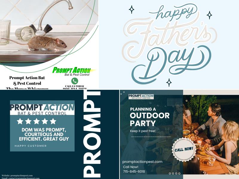 Prompt Action Bat & Pest Control