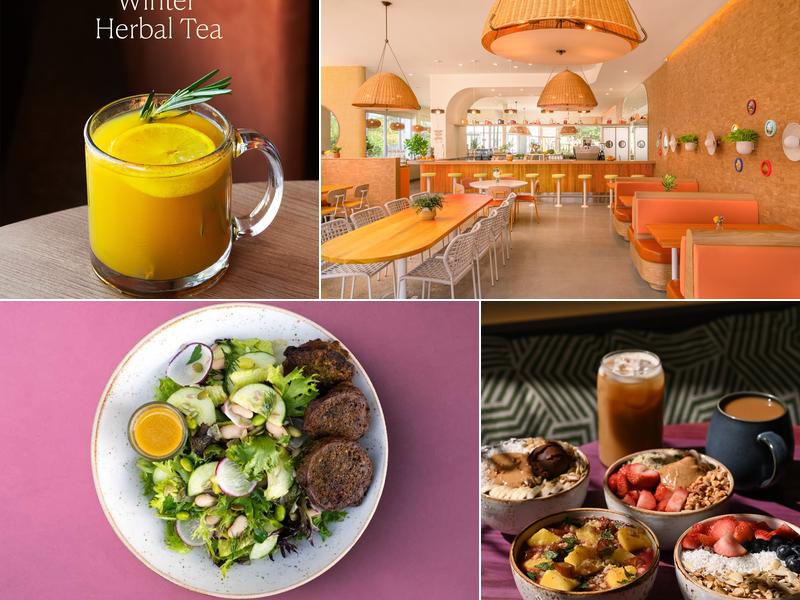 Life Alive Organic Cafe Burlington 91 Middlesex Turnpike, Burlington