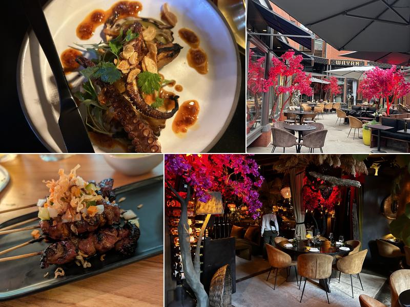 Wayan Aspen 614 E Cooper Ave, Aspen