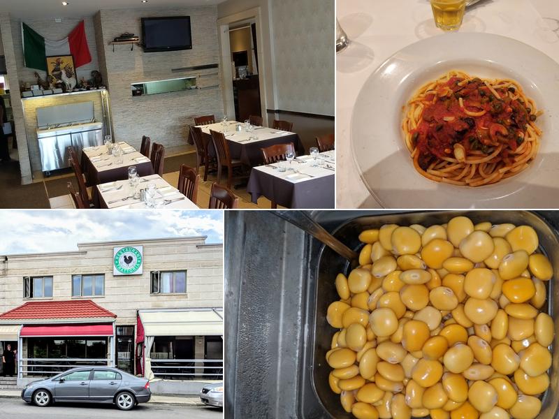 Trattoria Gallo Nero