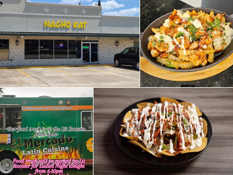 Nacho Kat Business190 1000 Business 190, Covington