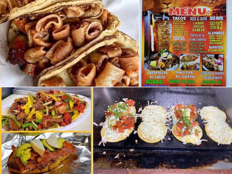 El roble del leon taqueria