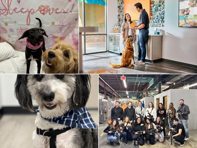 Dogtopia of Berkeley Heights