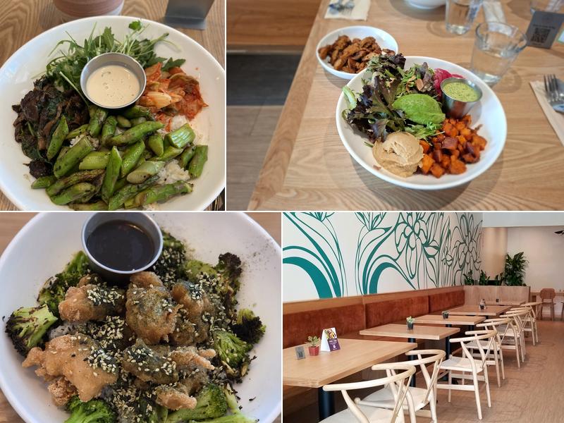 Kitava 1187 Solano Ave, Albany