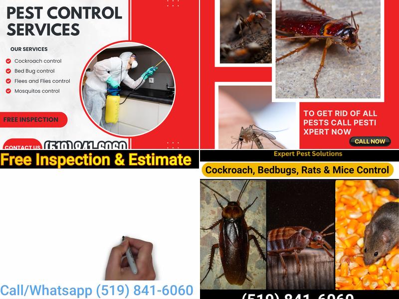 PestiXpert Pest Control Services Inc.