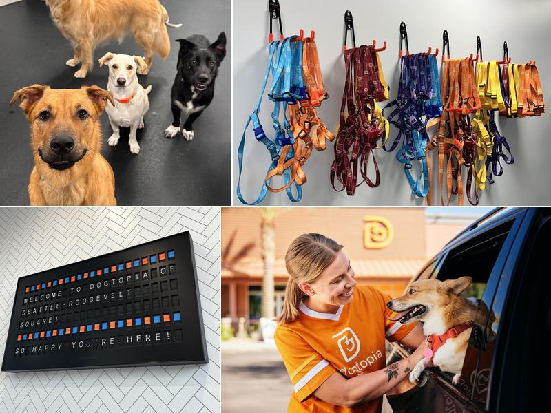 Dogtopia of Seattle - Roosevelt Square