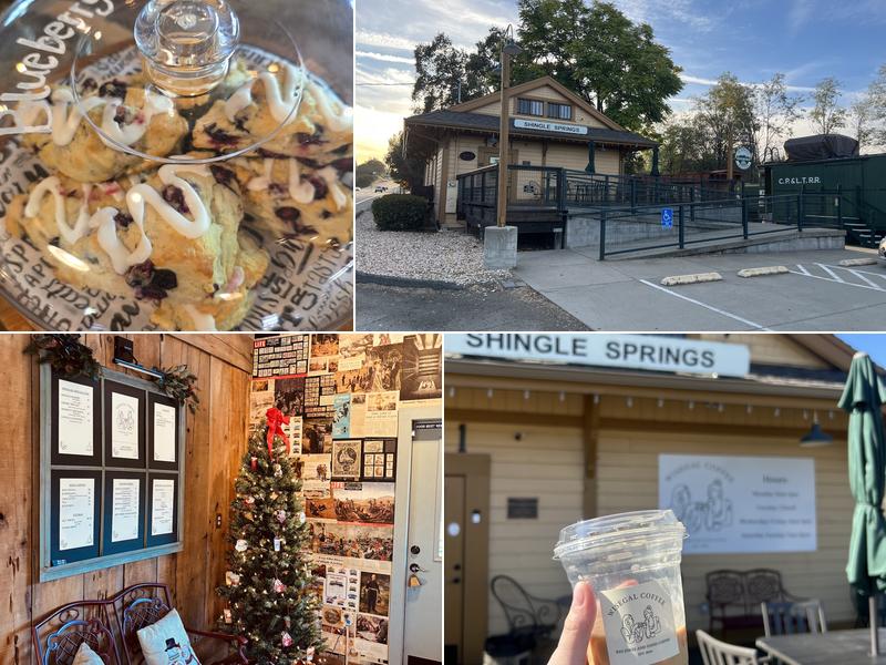 Wisegal Coffee 4241 Mother Lode Dr, Shingle Springs