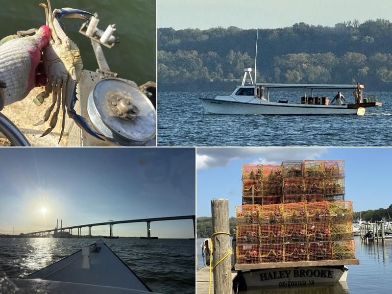 Decatur’s Crabs Stafford