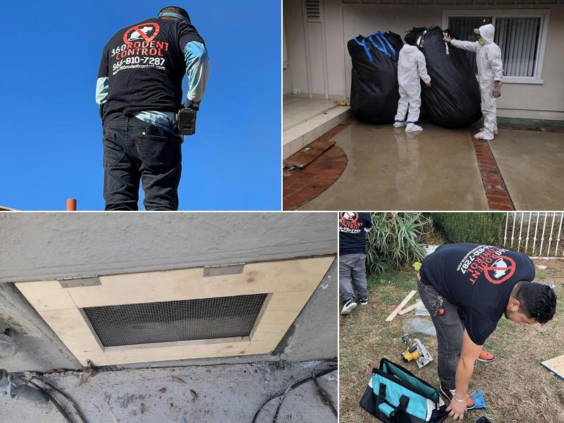 360 Rodent Control