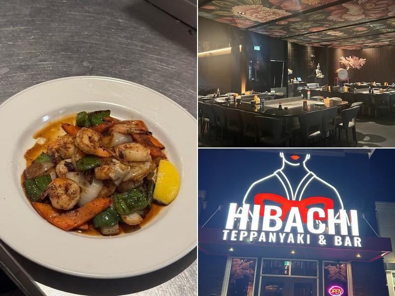Hibachi Teppanyaki & Bar (Hamilton) 727 Queenston Rd, Hamilton