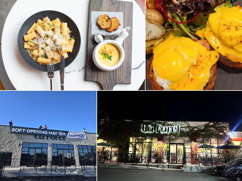 La Forêt Austin 1135 Austin Ave, Coquitlam