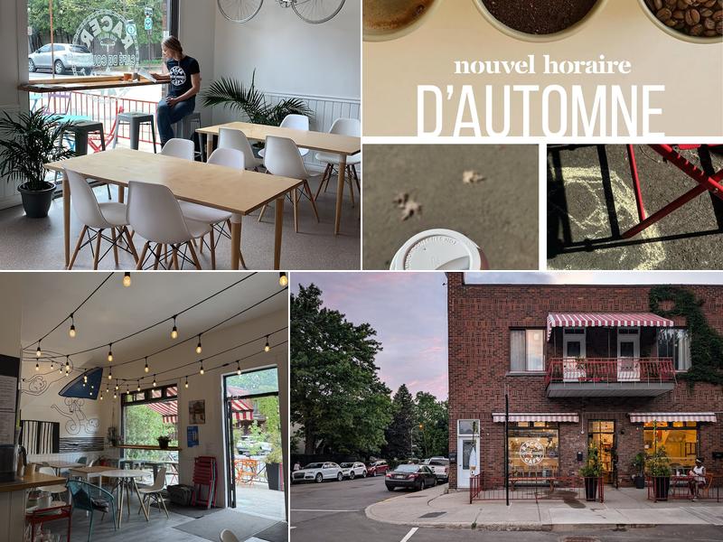 Racer Café de course