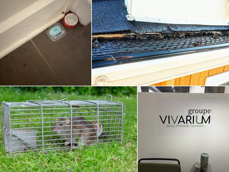 Groupe Vivarium – Extermination Montréal