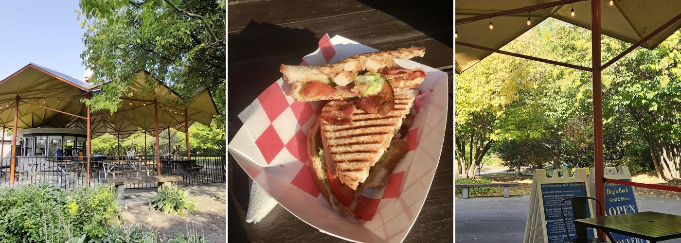 The Hog's Back Grill & Bistro