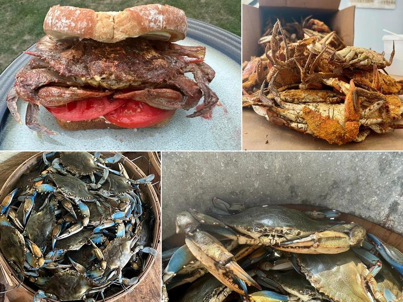 Weise Guy Crabs 2020 Sykesville Rd, Westminster
