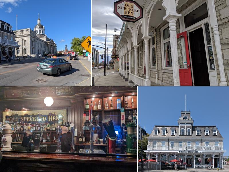 speckled hen 200 Ontario St, Kingston