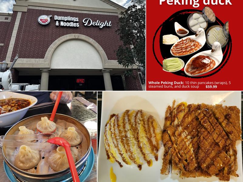 Dumplings & Noodles Delight