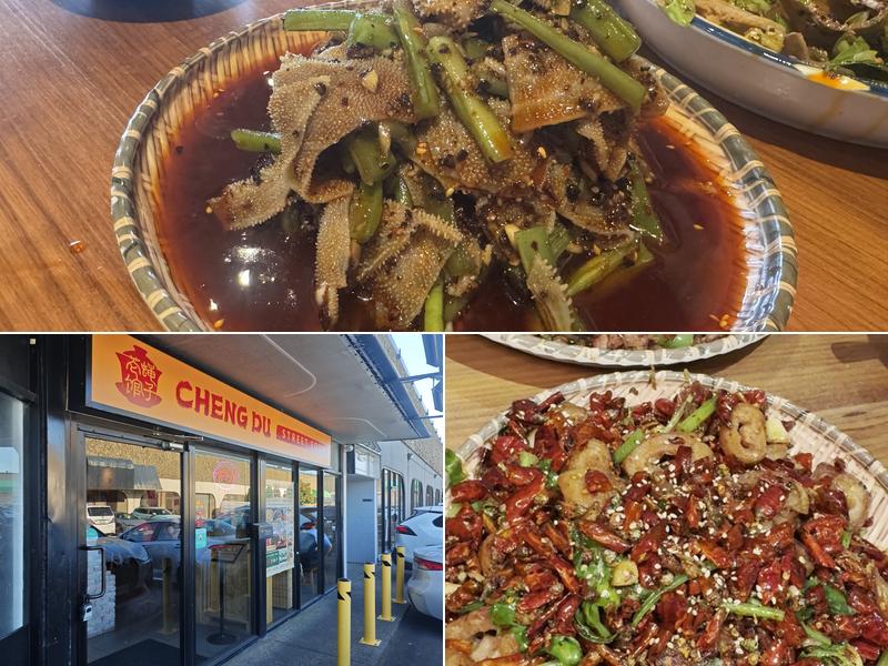 Cheng Du Street Food 7911 Alderbridge Wy UNIT 100, Richmond