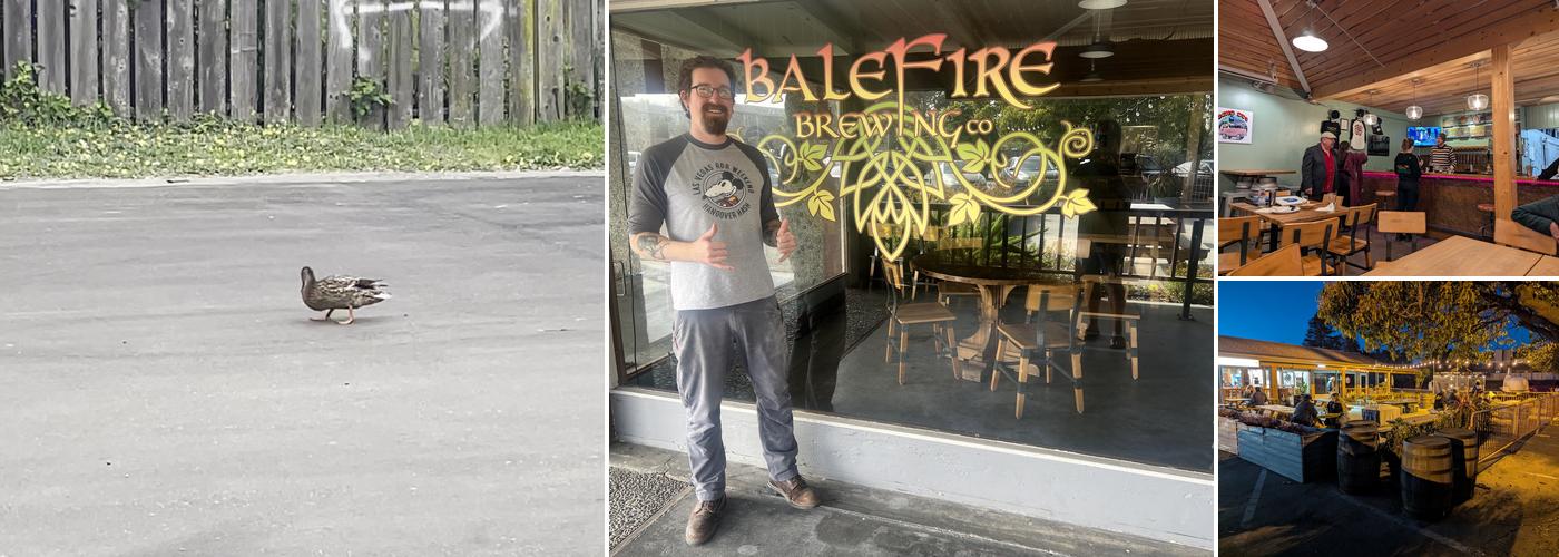 Balefire Brewing Company