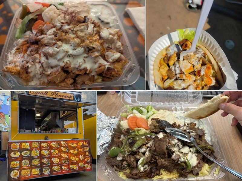 Small Pharaoh’s PDX