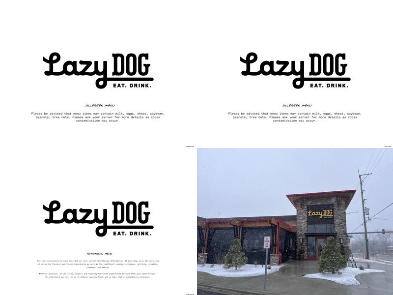 Lazy Dog Restaurant & Bar