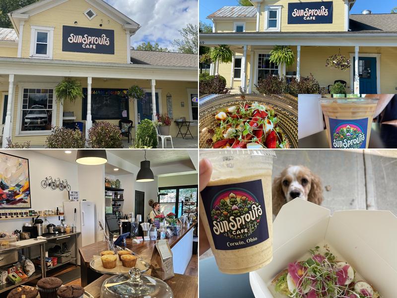 Sun Sprouts Cafe 69 S Maple St, Waynesville