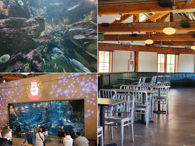 Seattle Aquarium Café
